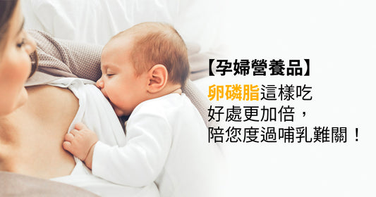 孕婦營養品|卵磷脂這樣吃好處更加倍,陪您度過哺乳難關!