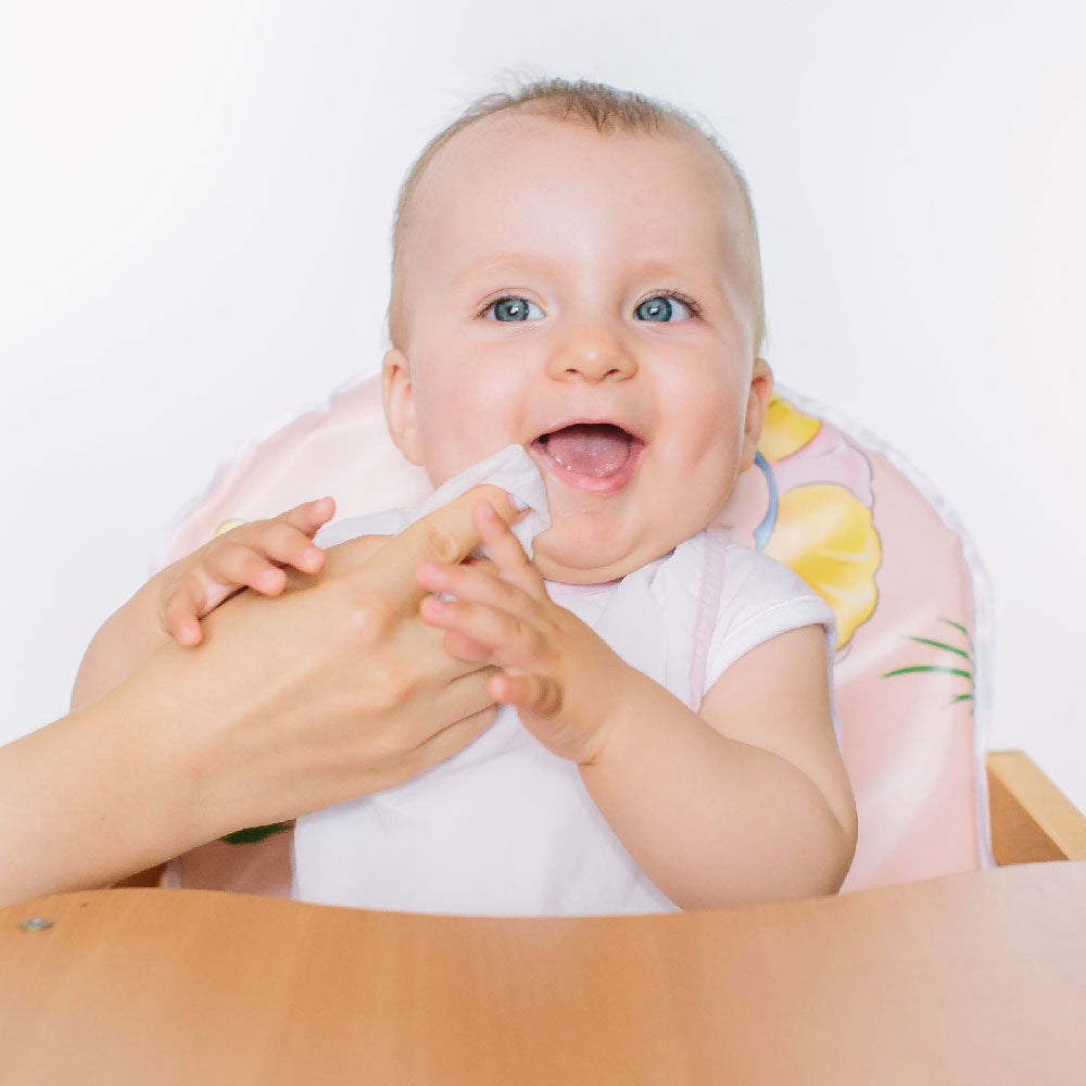 六甲村Mammy Village 極沐柔感.EDI潤濕紙巾