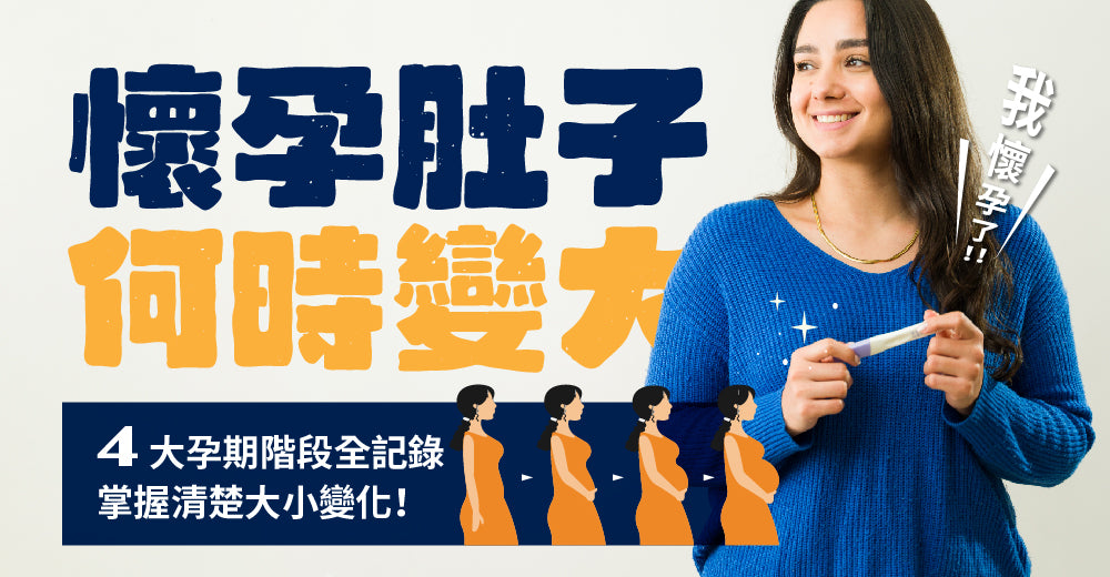 懷孕個肚幾時會變大？4大孕期階段全記錄，清楚掌握大小變化！