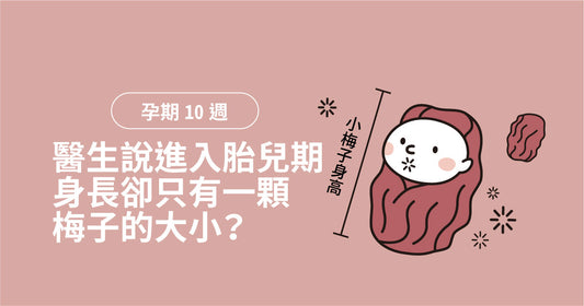 孕期第10週：醫生說進入胎兒期，身長卻只有一顆梅子的大小？