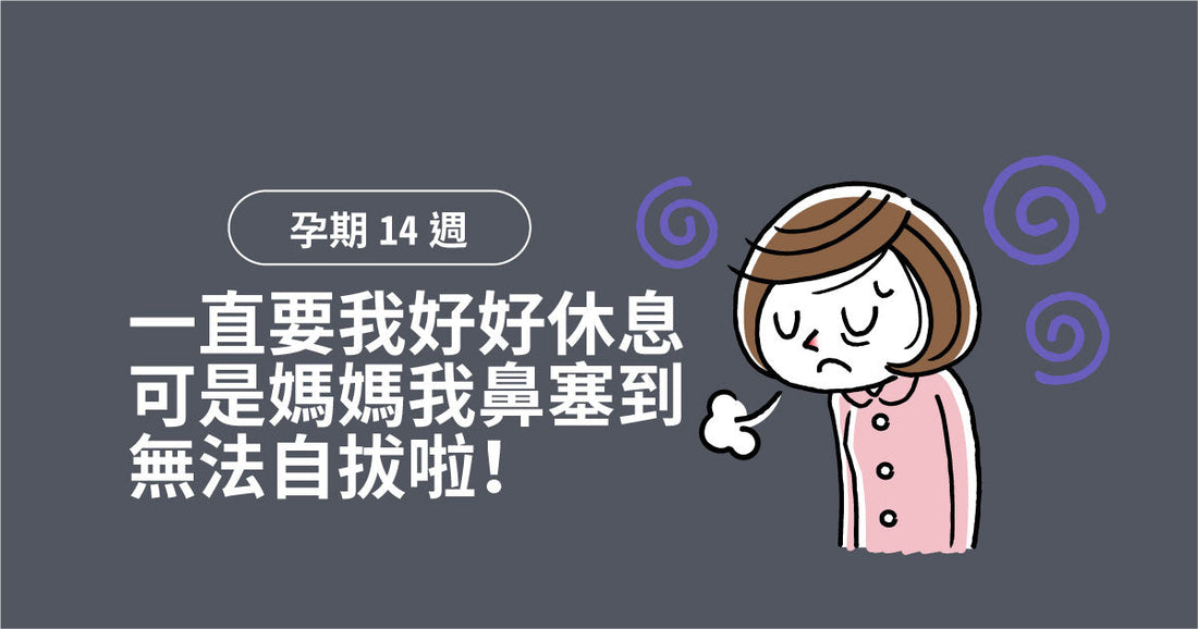 孕期第14週：一直叫我好好休息，但媽媽我鼻塞到停唔到啦！