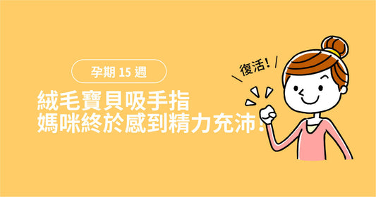孕期第15週：絨毛寶寶吸手指，媽咪終於感到精神充沛！