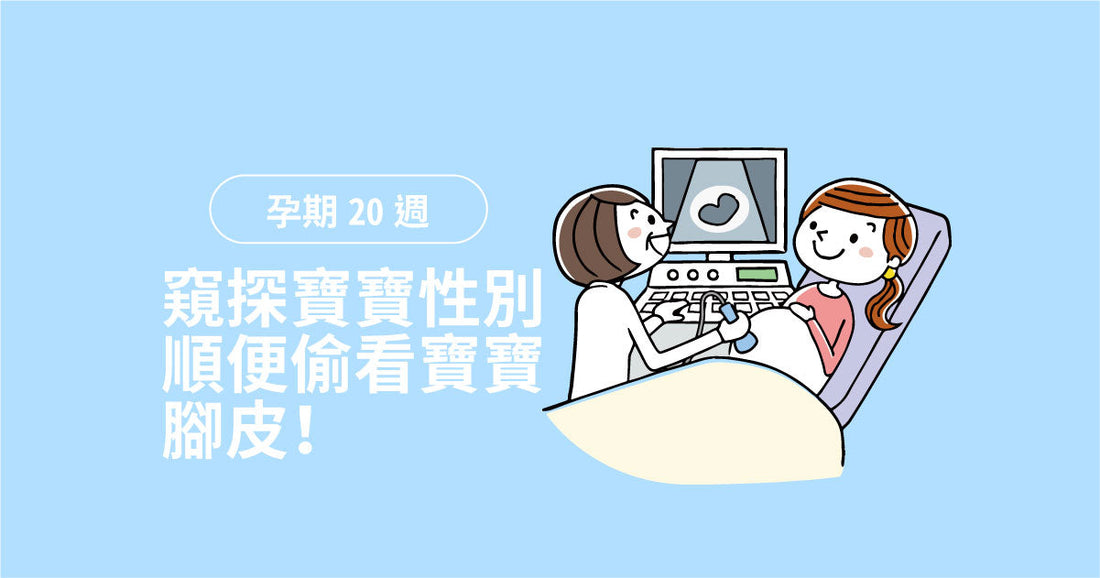 孕期第20週：窺探寶寶性別，順便偷睇寶寶腳皮！
