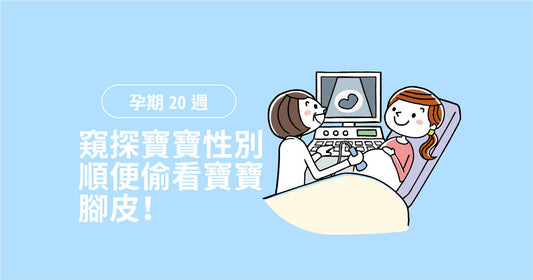 孕期第20週：窺探寶寶性別，順便偷睇寶寶腳皮！