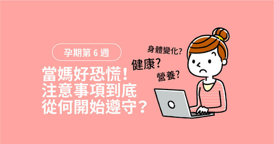 孕期第6週：當媽好驚慌！注意事項到底由邊度開始遵守？