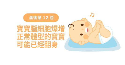 產後12週：寶寶腦細胞爆增，正常體型嘅寶寶可能已經識翻身